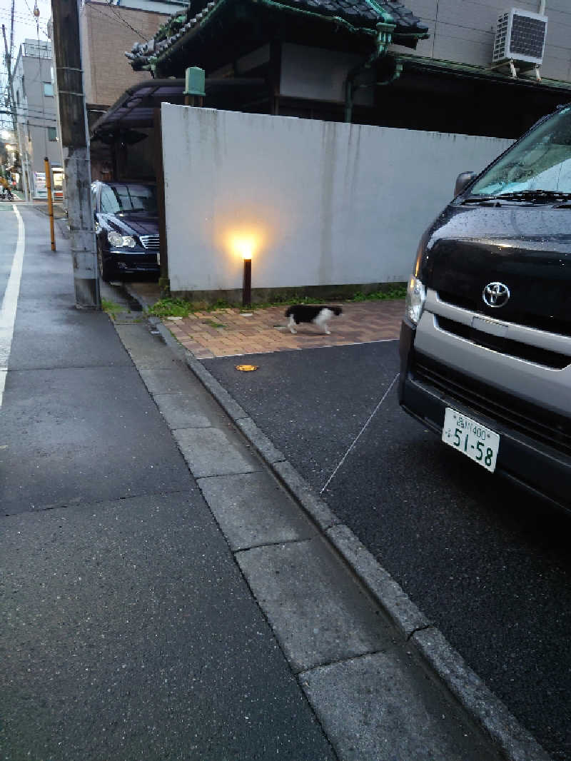 ゆの字さんのSmart Stay SHIZUKU 品川大井町のサ活写真