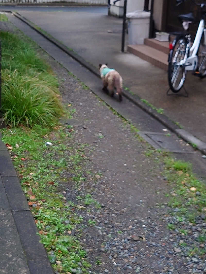 ゆの字さんのSmart Stay SHIZUKU 品川大井町のサ活写真