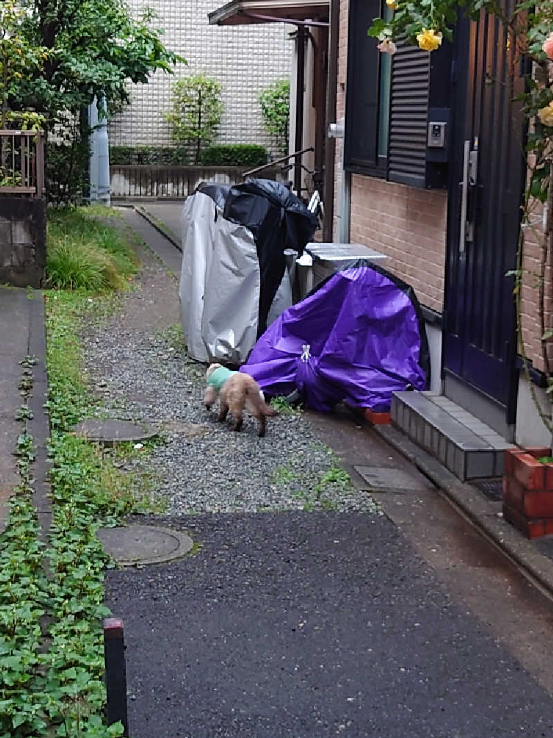 ゆの字さんのSmart Stay SHIZUKU 品川大井町のサ活写真