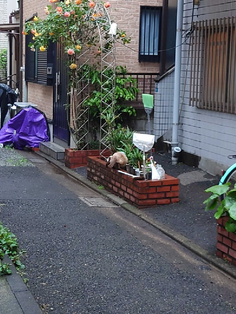 ゆの字さんのSmart Stay SHIZUKU 品川大井町のサ活写真