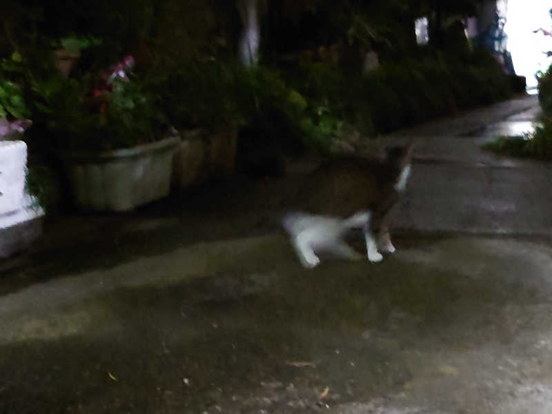 ゆの字さんのあづま浴泉のサ活写真