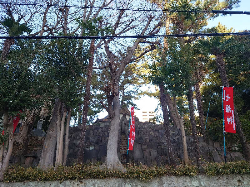 ゆの字さんの竹の湯のサ活写真