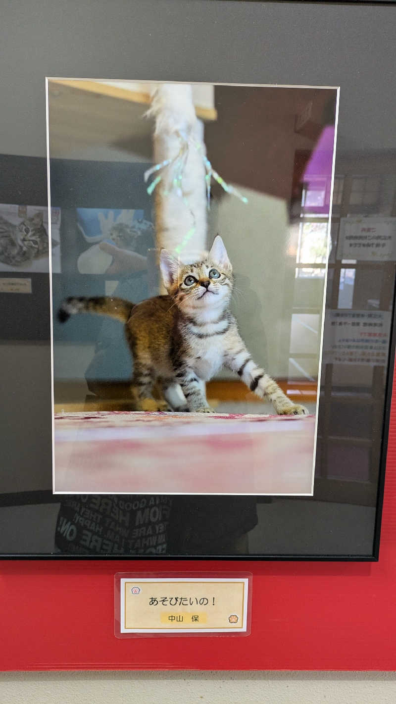 かぼすさんの白州塩沢温泉 フォッサマグナの湯のサ活写真