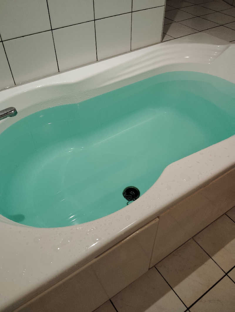 駆け出しのダダさんのシンドバッド青森店のサ活写真