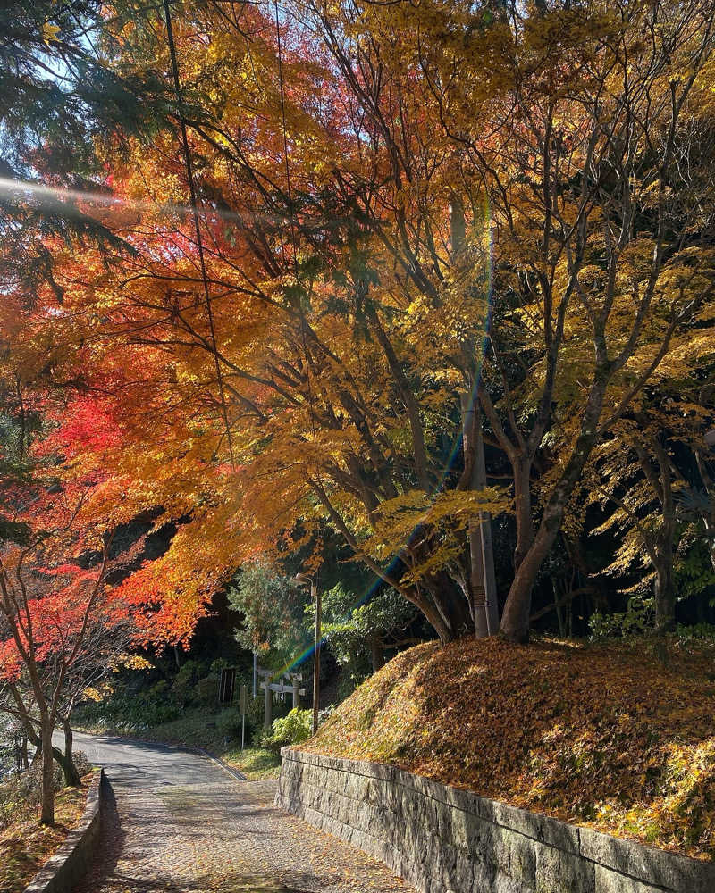 あぴさんの山水園 翠山の湯のサ活写真