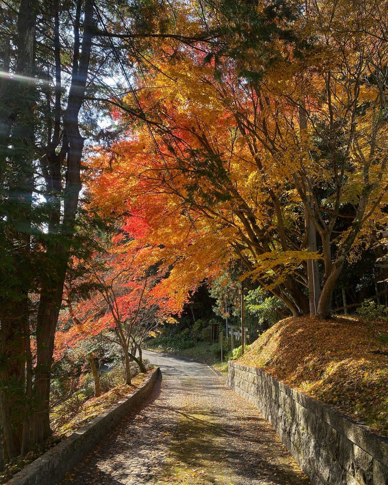 あぴさんの山水園 翠山の湯のサ活写真