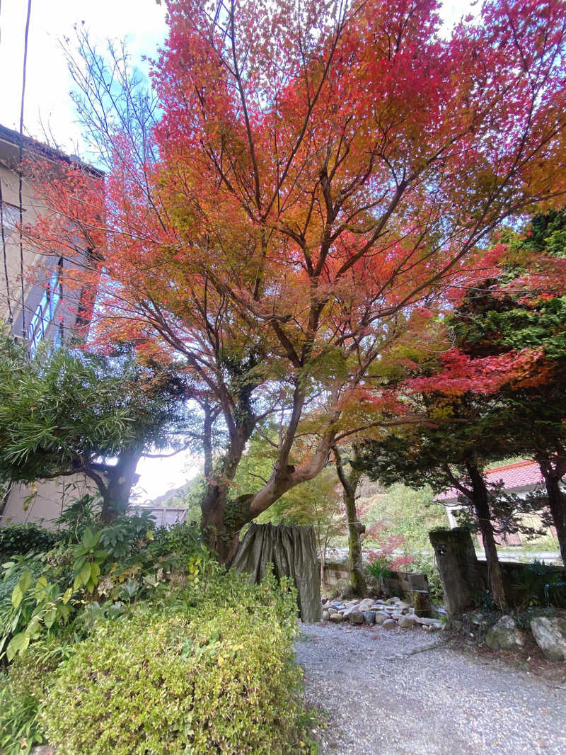 あぴさんの紅花舎 koukashaのサ活写真