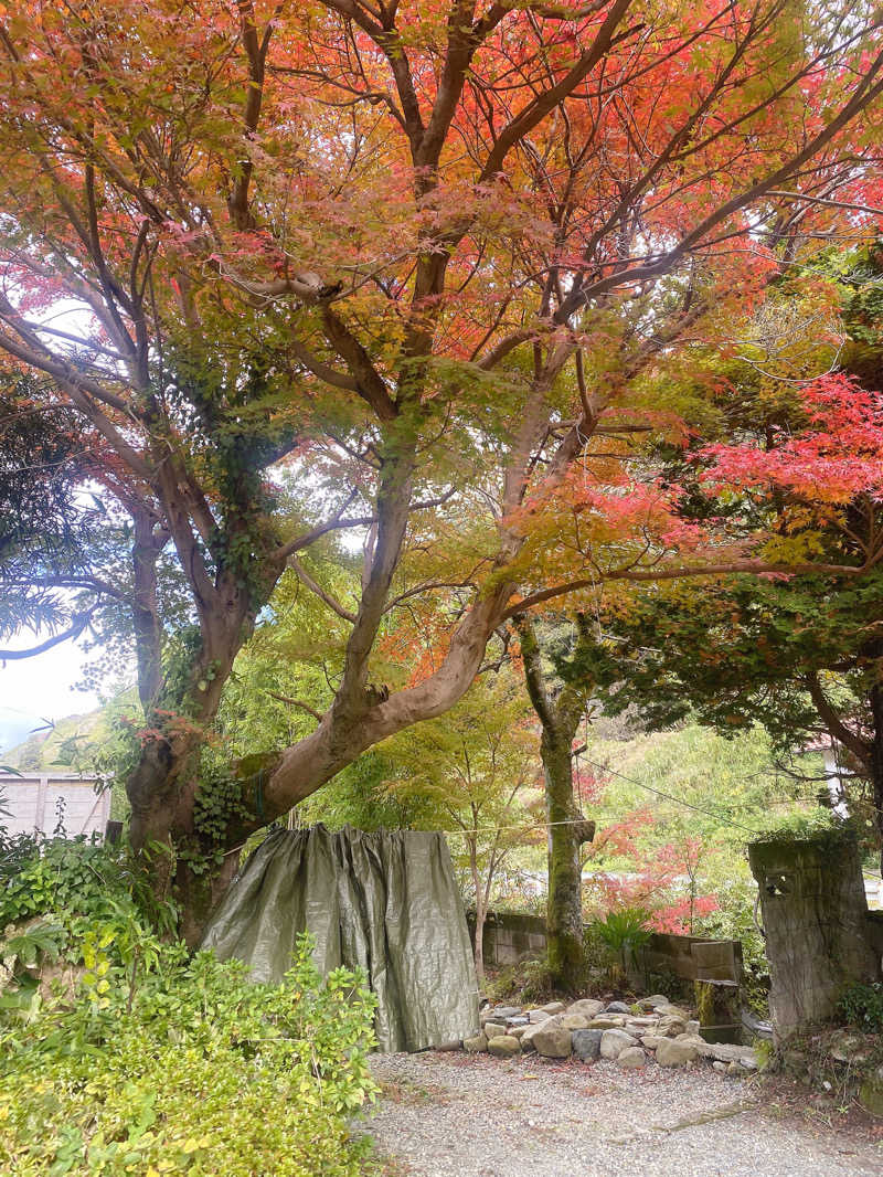 あぴさんの紅花舎 koukashaのサ活写真