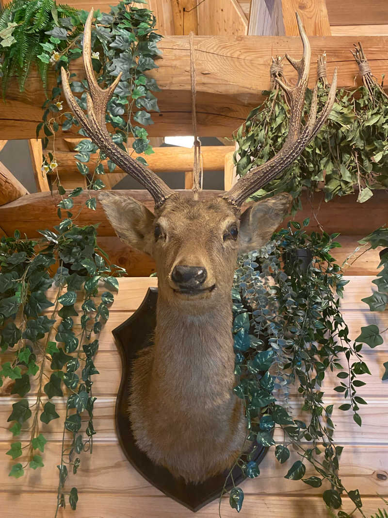 sauさんのサウナの森 水沼ヴィレッジのサ活写真