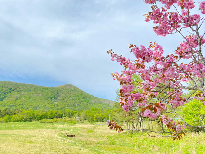 sauさんの星降る山荘  七時雨山荘のサ活写真