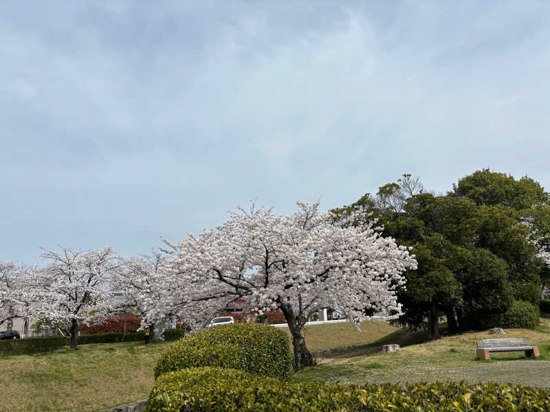 けなはさんの春日井温泉のサ活写真