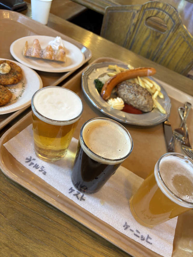 けなはさんの岐阜各務原 恵みの湯のサ活写真