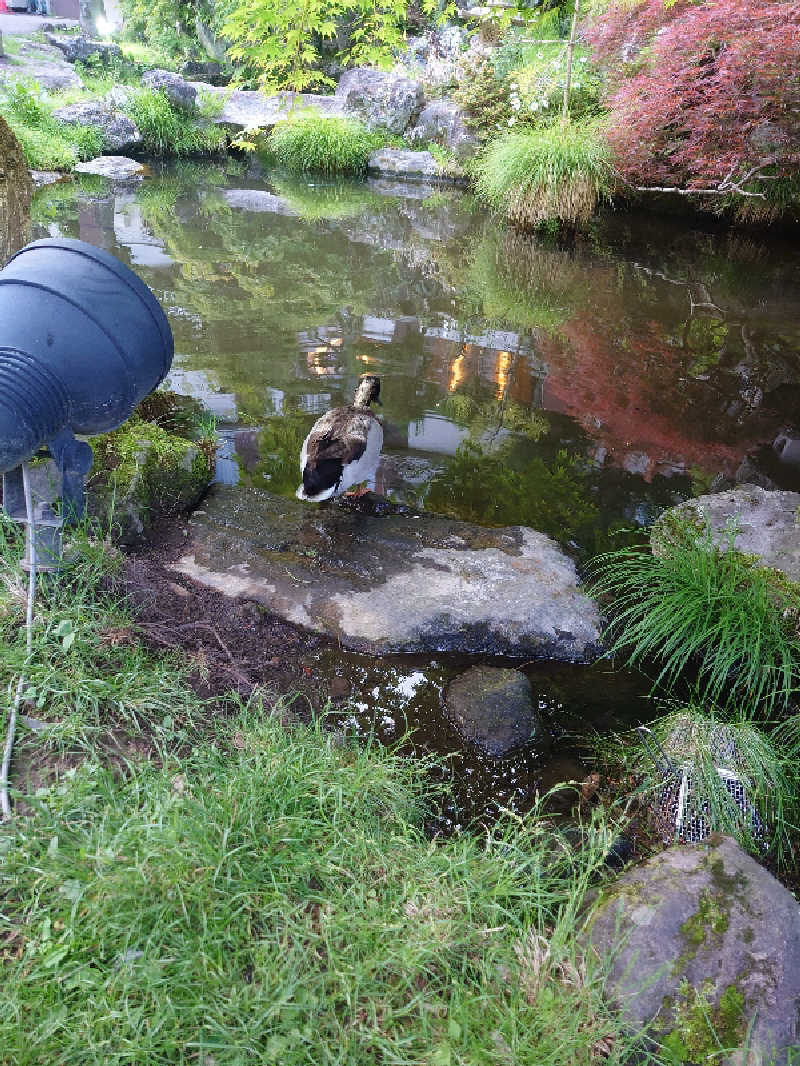 遊坊さんのサウナスペースTOJIBA 湯治場のサ活写真