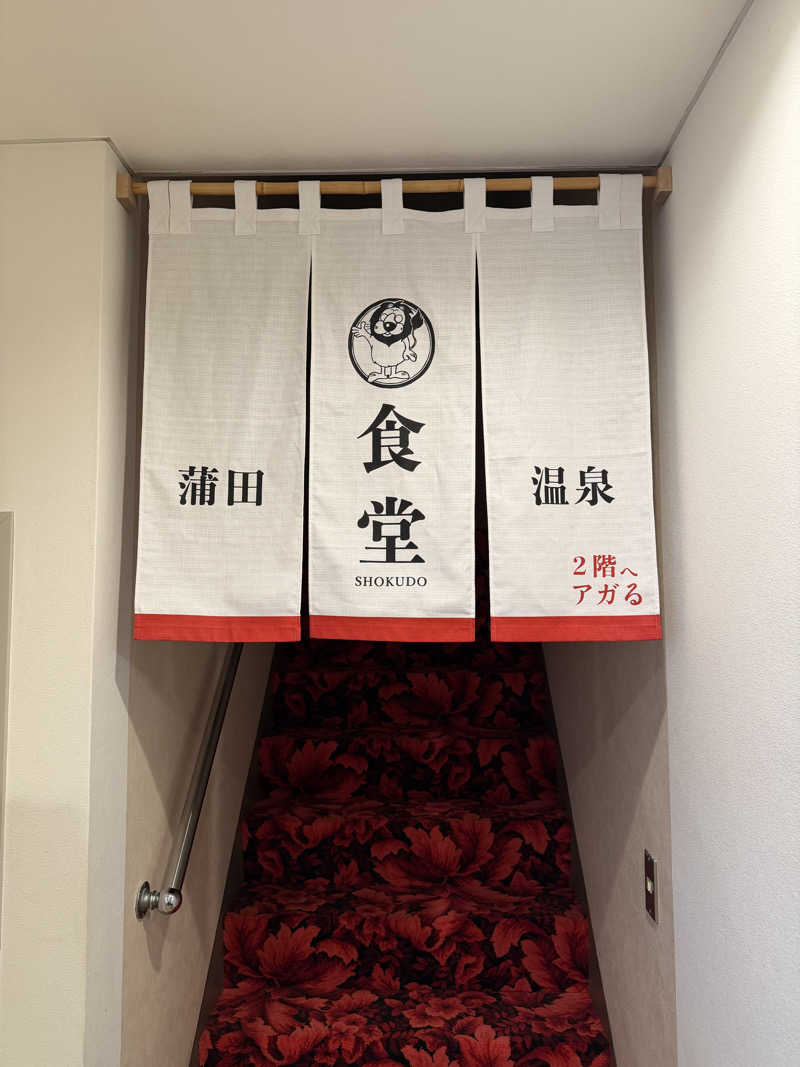 MIZURYUさんの蒲田温泉のサ活写真