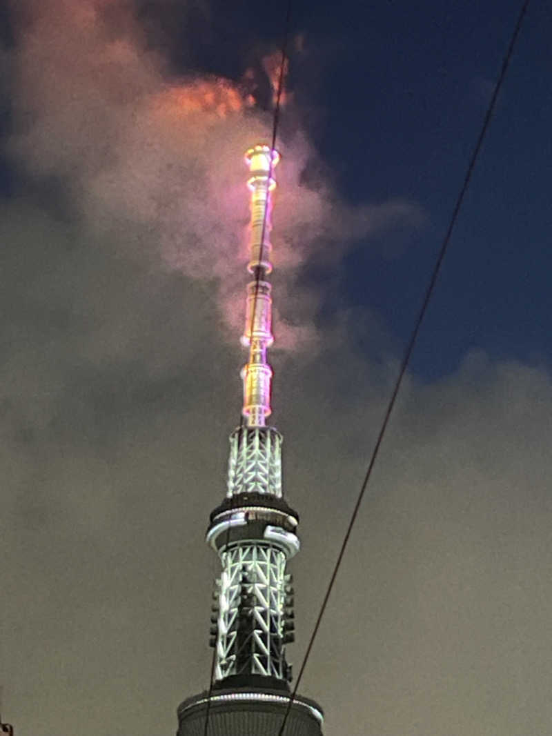 ウエストパークさんさんの電気湯のサ活写真