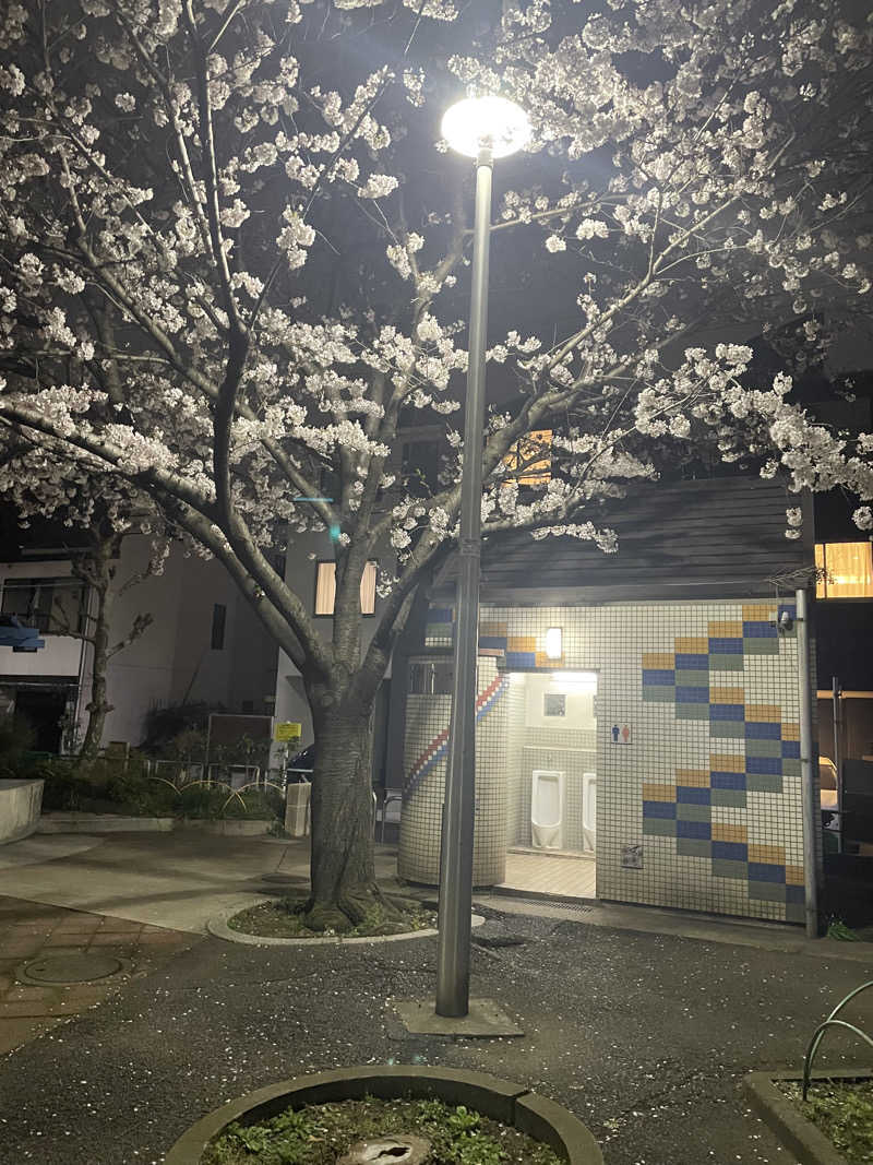 ウエストパークさんさんの電気湯のサ活写真