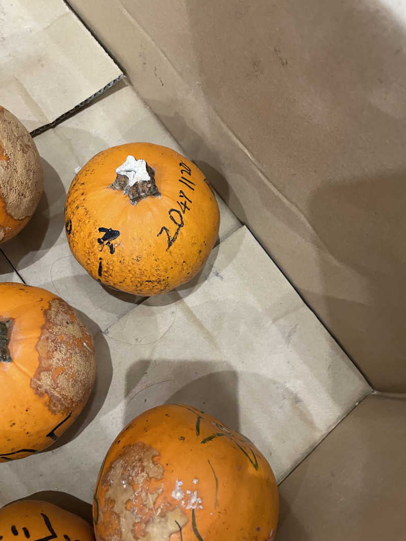 ウエストパークさんさんの薬師湯のサ活写真