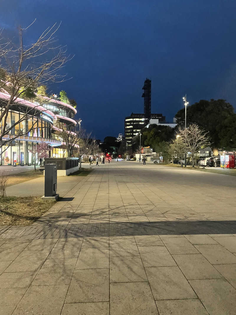 ウエストパークさんさんの六花の湯 ドーミーイン熊本のサ活写真