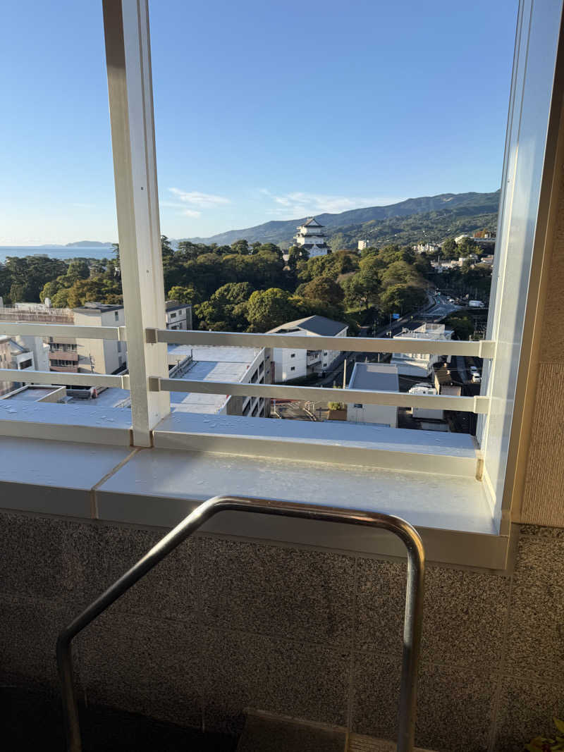 中年53号さんの天成園 小田原駅 別館のサ活写真