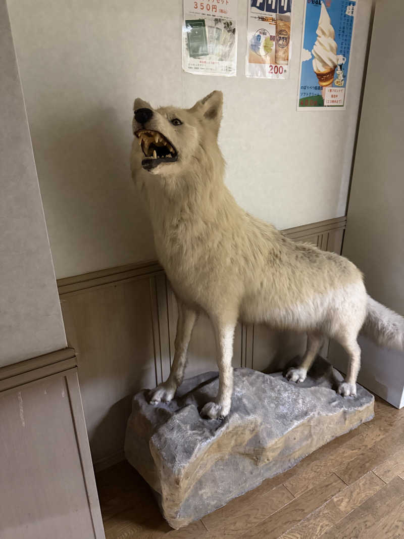 中年53号さんの楽々温泉のサ活写真