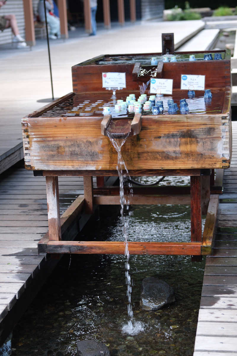 ちぴさんの星野温泉 トンボの湯のサ活写真