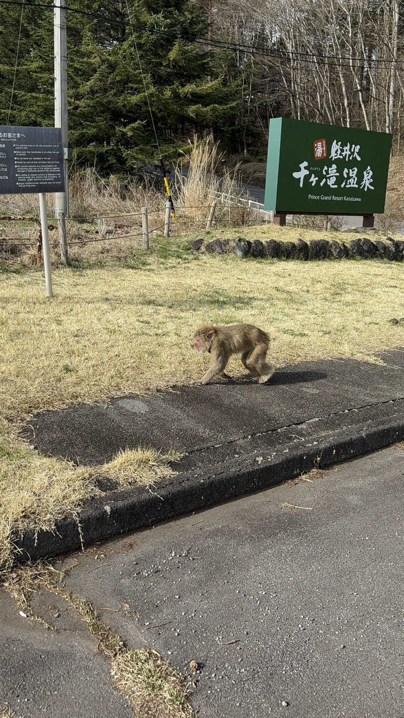 ピースさんの軽井沢千ケ滝温泉のサ活写真