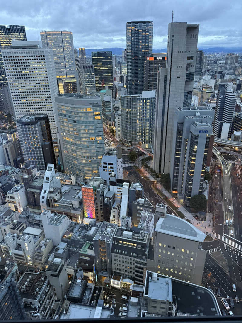 窓際ととのいサウナ〜さんのカンデオホテルズ 大阪ザ・タワーのサ活写真