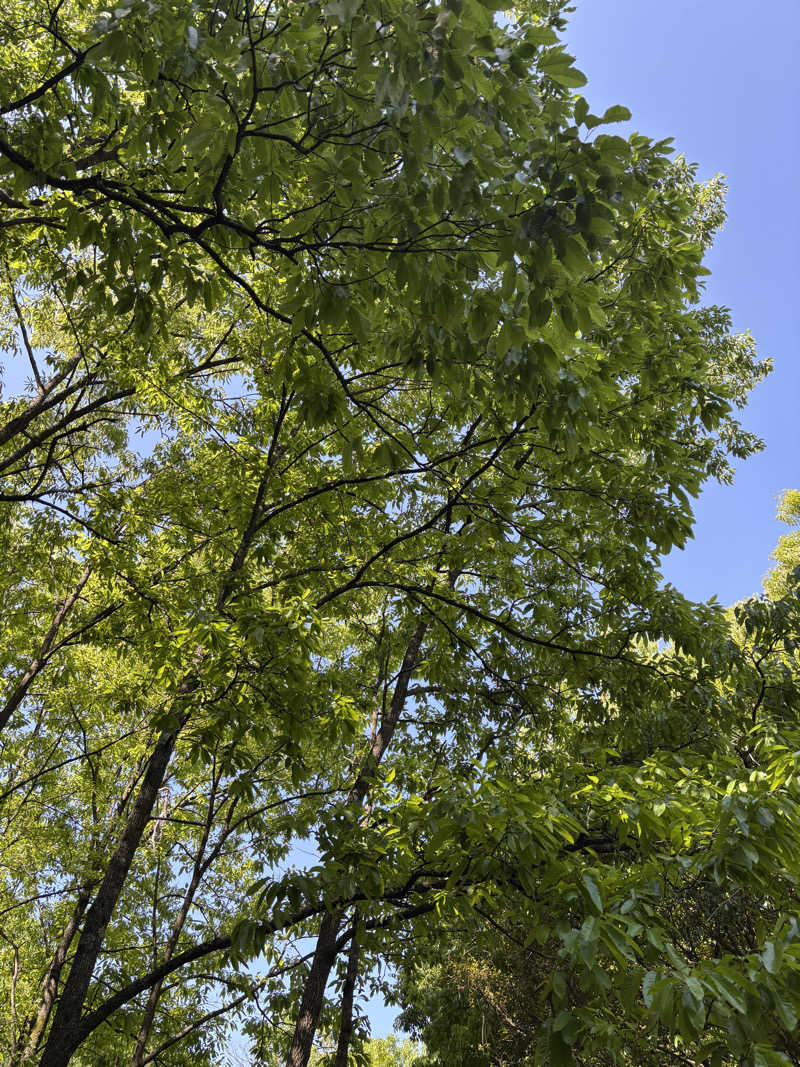 hiroさんのOND SAUNAのサ活写真