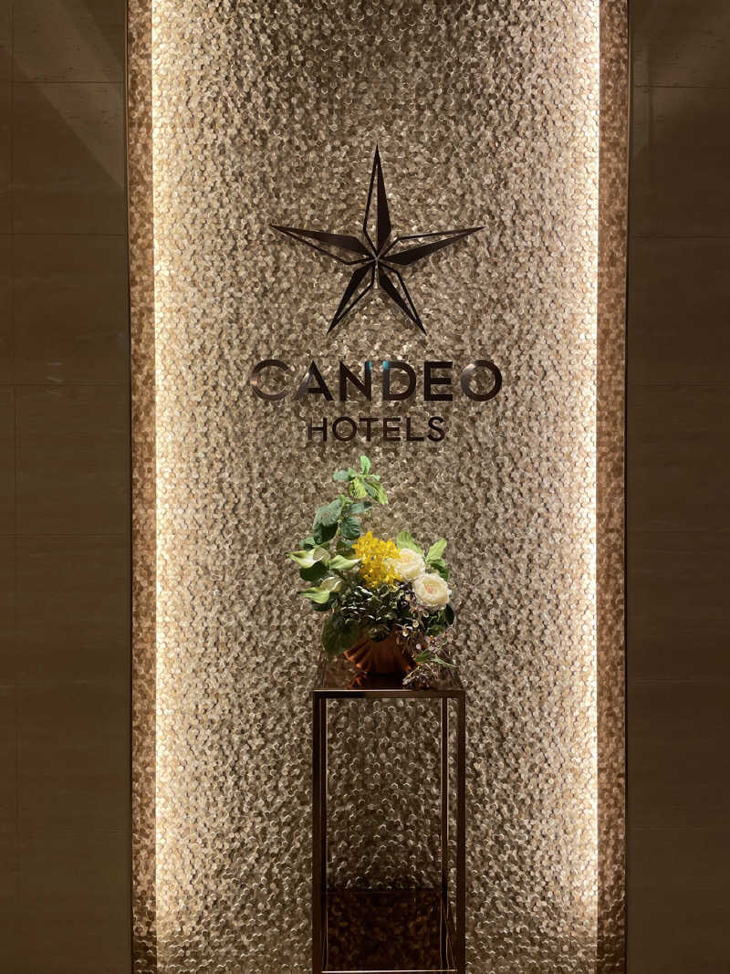 最近の趣味はサ活さんのカンデオホテルズ大阪枚方のサ活写真