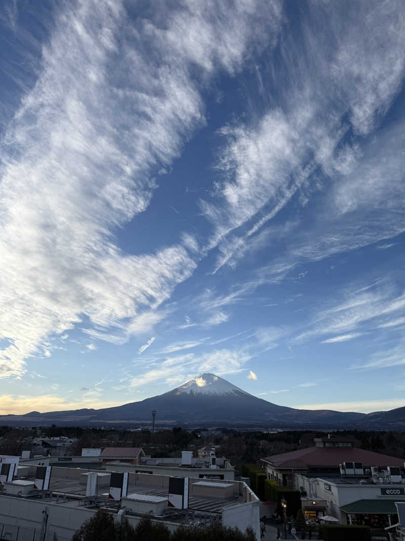 アリソンさんの富士山天然水SPA サウナ鷹の湯のサ活写真