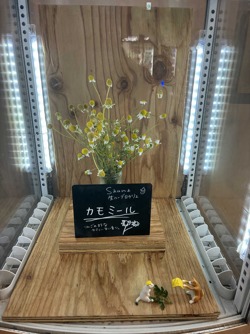 ダイスケさんの岐阜各務原 恵みの湯のサ活写真
