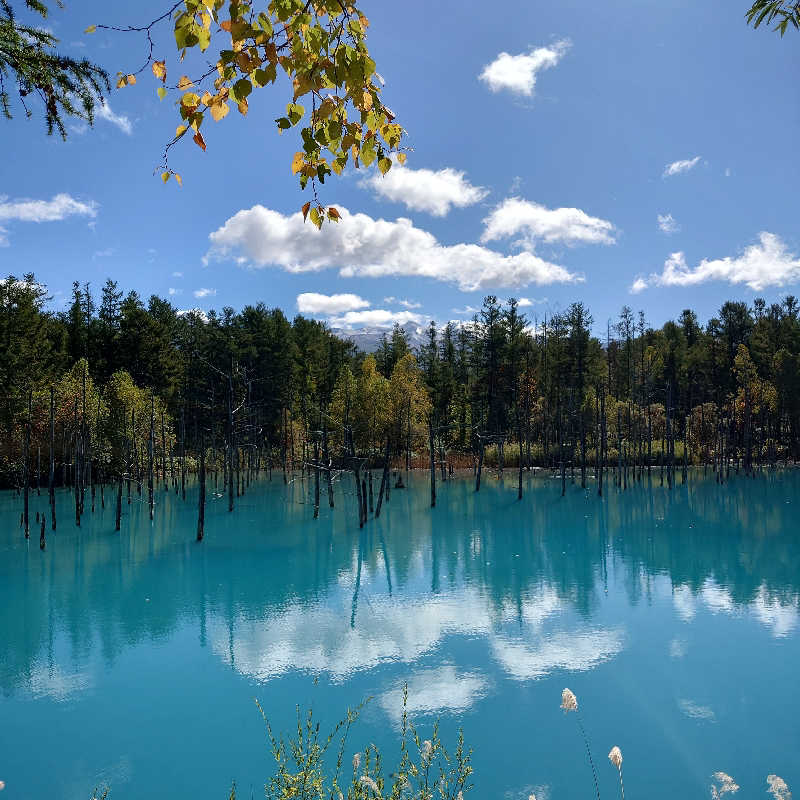 サ吉🔥さんの吹上温泉保養センター 白銀荘のサ活写真