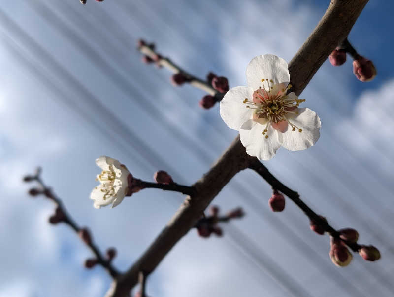 esuさんのみなと温泉ほのかみのサ活写真