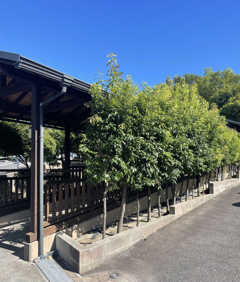 kiyasarin0809さんのおかざき楽の湯のサ活写真