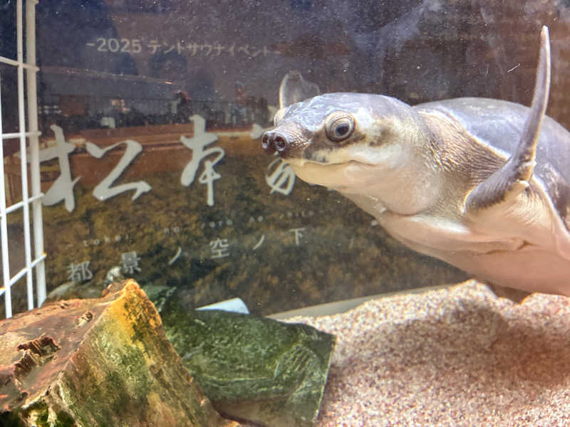 りのさんの松本湯のサ活写真