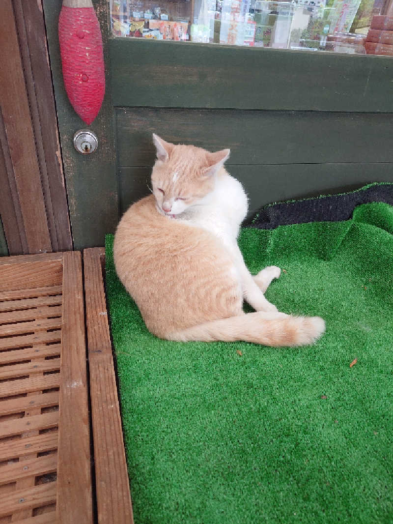 TMさんの山江温泉ほたるのサ活写真