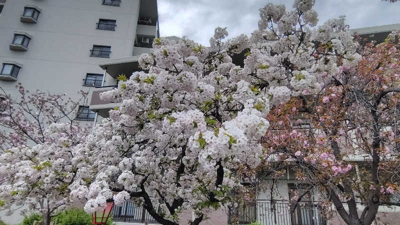 Saunaskyさんの新町温泉のサ活写真