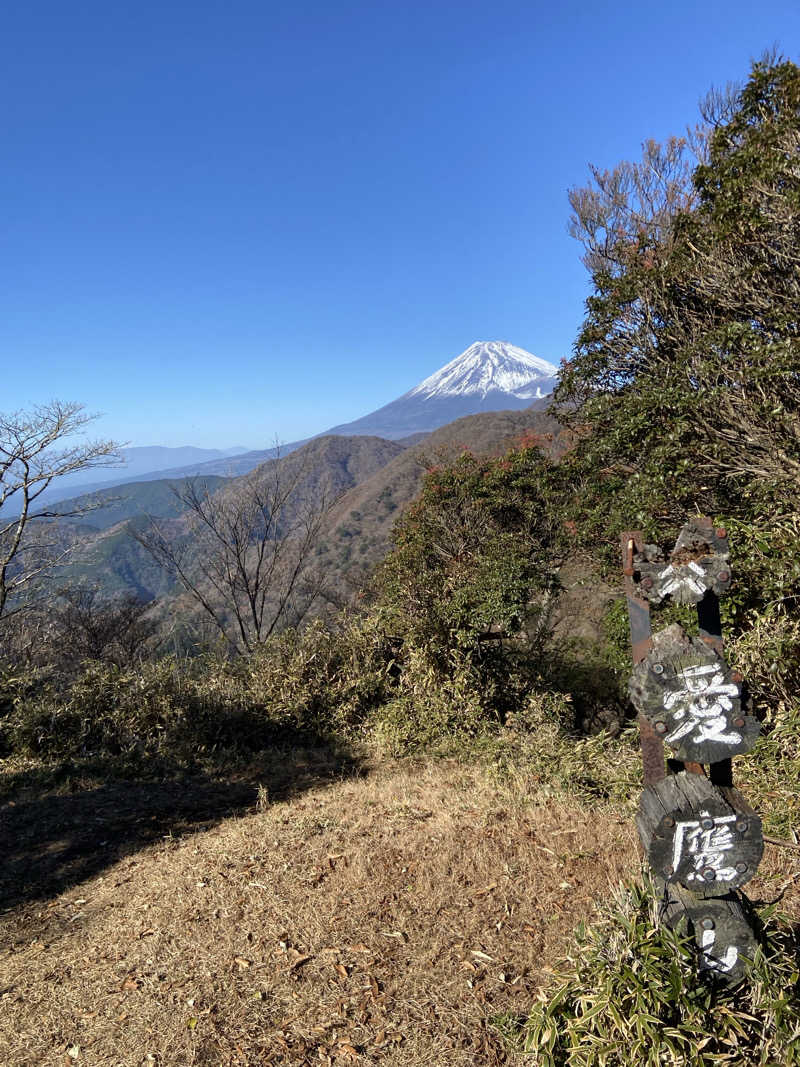 リンクれいさんの駿河の湯 坂口屋のサ活写真