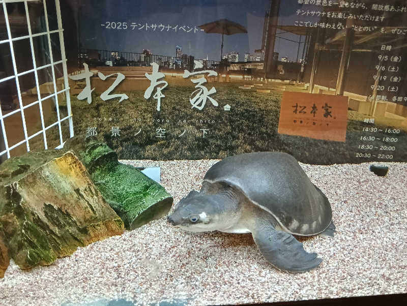 waramameさんの松本湯のサ活写真