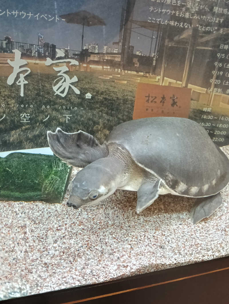 waramameさんの松本湯のサ活写真