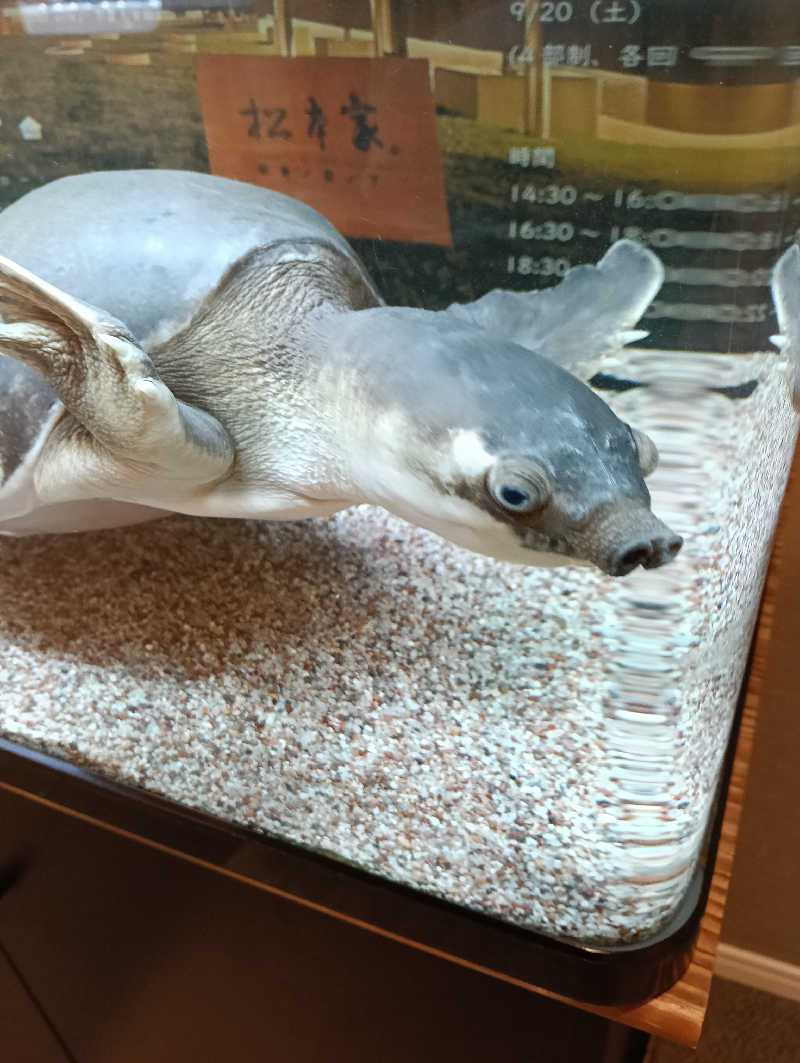 waramameさんの松本湯のサ活写真