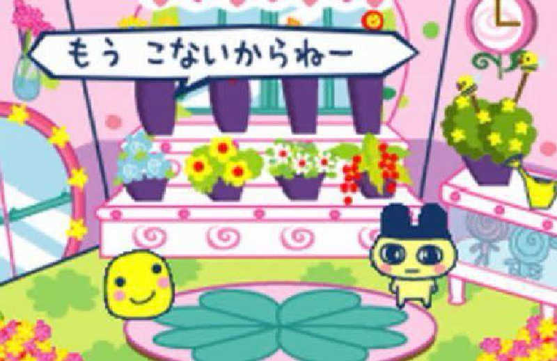 🍒さんのLedian Spa Ebisu (レディアンスパ恵比寿)のサ活写真