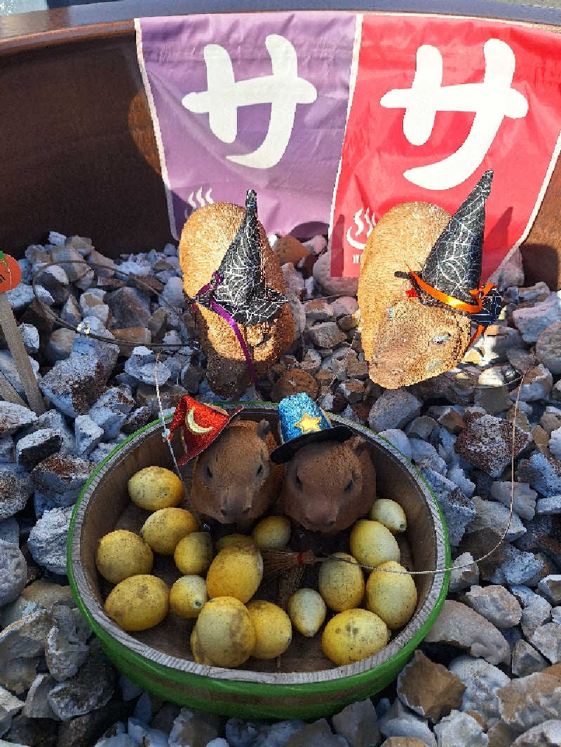 とうしろうさんの富士山天然水SPA サウナ鷹の湯のサ活写真
