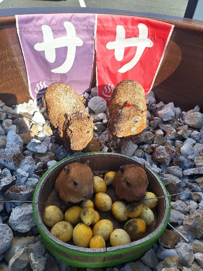 とうしろうさんの富士山天然水SPA サウナ鷹の湯のサ活写真