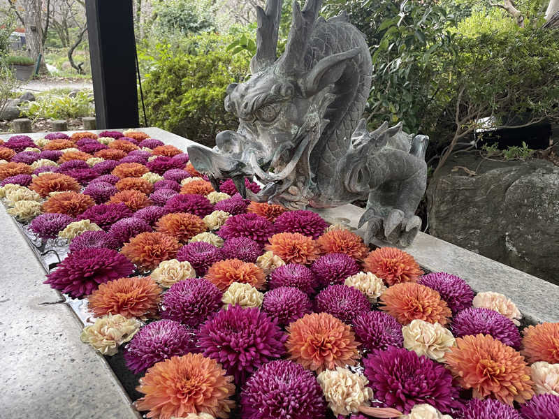 あまみちゃんさんのよみうりランド眺望温泉 花景の湯のサ活写真