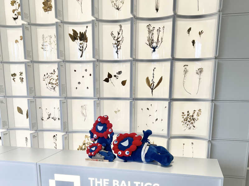 ®️さんの大阪・関西万博 万博サウナ「太陽のつぼみ」のサ活写真