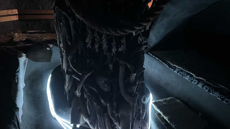 ®️さんのサウナ発達のサ活写真