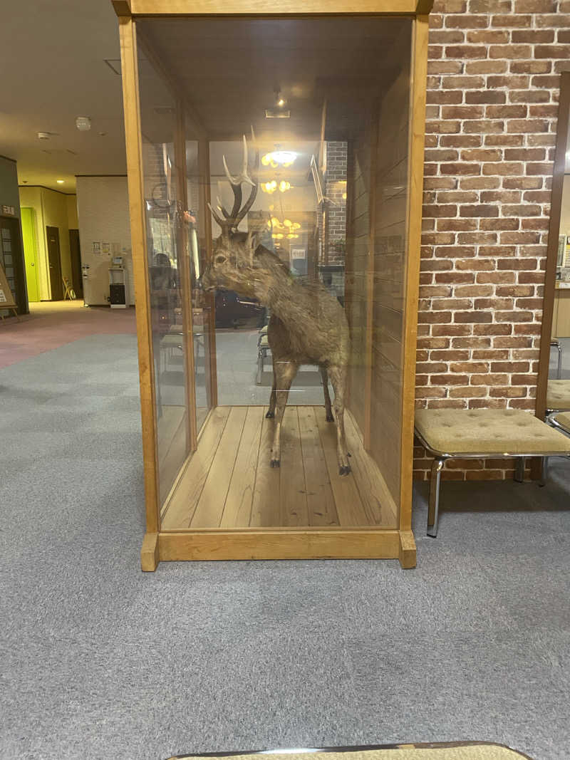 ジョージ　ダニエルさんのおおびらき温泉のサ活写真