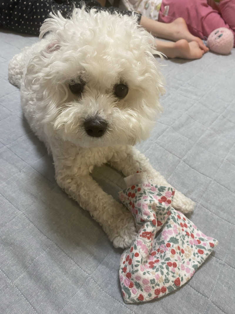 ジョージ　ダニエルさんの稲城天然温泉 季乃彩(ときのいろどり )のサ活写真