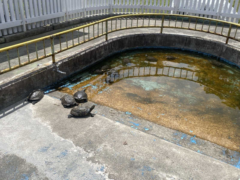 ジョージ　ダニエルさんのおおの健康の湯のサ活写真